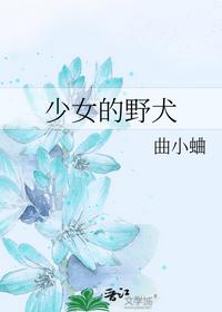 天唐锦绣房俊师父
