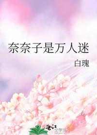 齐天沈秋水的小说