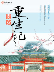 小小领主的黑暗城堡