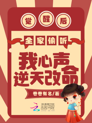 赝太子小说到底讲的是什么