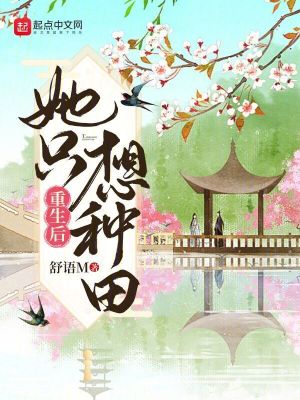 大明风流小说简介