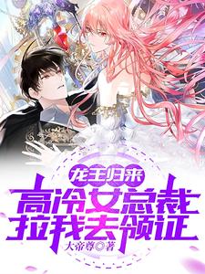 肖嚣杨佳小说全集阅读