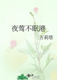 夜莺不眠港